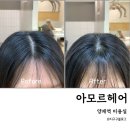 서운로6길 21-3 | 양재역 미용실 | 아모르헤어 뿌리 볼륨펌 후기