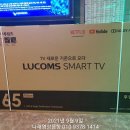 꿀벌노래연습장 이미지