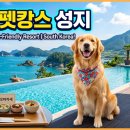 (주)전남사료 | 강아지랑 전남 여행 갈 때 여기 모르면 손해? 요즘 펫팸족이 찜한 수영장·오마카세 펫캉스 성지 3곳