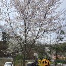 안성슈퍼 이미지