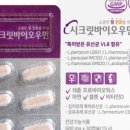 행정타운로L 네이버블로그