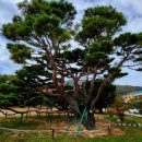 죽장초등학교상옥분교장 이미지