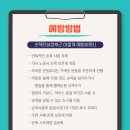 올인핏 이미지