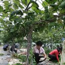 신평농협 하나로마트 이미지