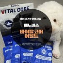 코어바이탈 | 강아지 가수분해사료 페노비스 바이탈코어 어덜트 비숑 급여 후기