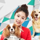 세인트동물병원 이미지