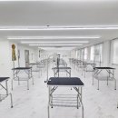 윈그루밍 이미지