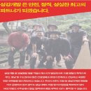 성강개발잡 - 사하구 낙동대로 222 | 성강개발잡