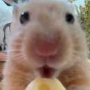 오늘윤슬