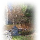 GS25 고한주공점 이미지