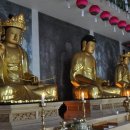 칠곡 송림사 목조석가여래삼존좌상 이미지