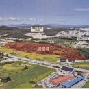 현대자동차(주)별관