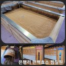 좋은효소청주
