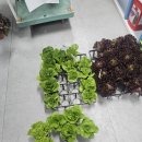 포천농약사 이미지