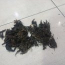 반송동010 이미지