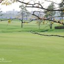 잭 니클라우스 골프클럽 코리아 이미지