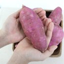 팔도농장 이미지