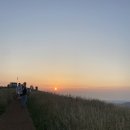 제주소요 이미지