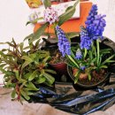 공설농장 이미지