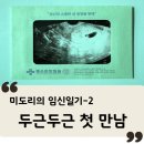영도구청 보건소 | [임신] 산부인과에서의 첫 만남 후 해야 할 일들