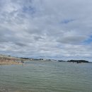 태안호스릴-63 | 태안 출조 후기 (24/09/22) <쭈>