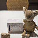 스테이99.9 이미지