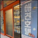 부천애견호텔 멍미텔 | 우리 강아지가 행복하게 머문 부천애견호텔 후기