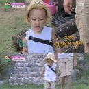 비석농장 이미지