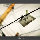 레몬트리 - 포항시 남구 냉천로302번길 56 | 레몬트리