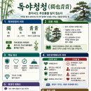 [삶의 지혜] "독야청청" 이미지