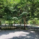 횡성 산울림오토캠핑장 이미지