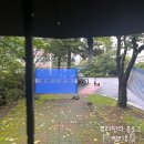 레커버거 상무점 | 이러다가 다 지쳐 (24.8.5~24.8.11)