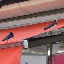 역전시장 상점가 이미지