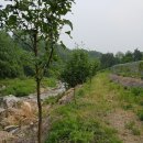 물골농장 이미지