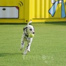 놀이터펜션 이미지