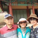 고려농장 이미지