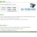 씨씨존 이미지