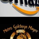 엠지엠(MGM) 이미지