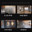 오마이댕댕이