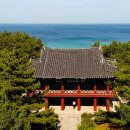 숲에머물다
