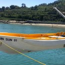 신선1호 이미지