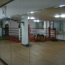 엑투 복싱 이미지