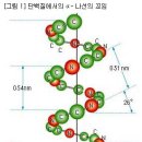 건강 찾는 사람들 이미지
