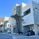 항사리91 이미지