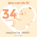 재반보건지소 | 임산부 해운대 재반보건지소 방문 ( 유축기대여 산후도우미 백일해 모자건강증진사업)