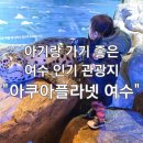 [아기랑 갈 만한 곳] 여수 아쿠아플라넷 할인, 공연, 주차 정보 및 내돈내산 후기