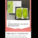 브라더샤인 이미지