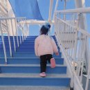 하늘바다어린이집 | [속초]아기랑가볼만한곳.속초아이대관람차.앙젤루스 후기