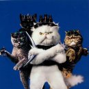 캣츠앤독스 이미지