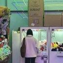 효선약국 | 두루네 입춘 🌳